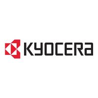 Kyocera CF-4GB - Flash-Speicherkarte - 4 GB - CompactFlash