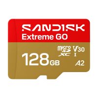 SanDisk Extreme Go - Flash-Speicherkarte - 128