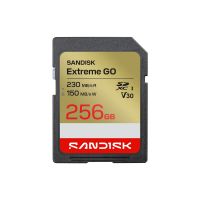 SanDisk Extreme Go - Flash-Speicherkarte - 256