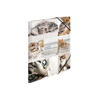 HERMA Aktenmappe mit 3 Klappen - für A4 - Katzen