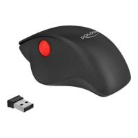 Delock Ergonomic - Maus - ergonomisch - Für Rechtshänder - optisch - 3 Tasten - kabellos - 2.4 GHz - kabelloser Empfänger (USB)