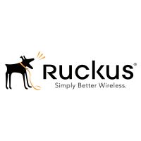 Ruckus Networks CLD-LPEA-1001, 1 Lizenz(en), 1 Jahr(e)