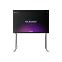 Cisco Standfuß - für P/N: CS-BRD55P-MM-NR-K9