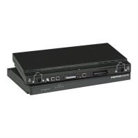 Patton SmartNode 4912 IpChannel Bank - VoIP-Gateway