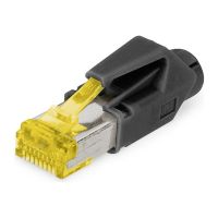 DIGITUS Netzwerkanschluss - RJ-45 (M) - abgeschirmt - CAT 6a - ohne Haken (Packung mit 50)