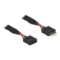Delock USB 2.0 Pin Header - Internes USB-Kabel - 10-poliger USB-Header (W)