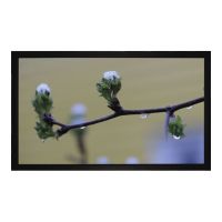 Medium Frame Budget type D - Leinwand - geeignet für Wandmontage - 300 cm (118")