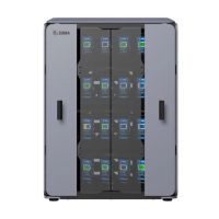 Zebra CS-CAB-2-FLTPK-B-EMEA, Grau, Schlüssel, 2 Regale