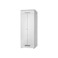 DIGITUS Professional Unique DN-31114 - Schrank Netzwerkschrank - Hellgrau, RAL 7035 - 42HE - 48.3 cm (19")