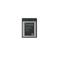 SANDISK PROFESSIONAL Flash-Speicherkarte