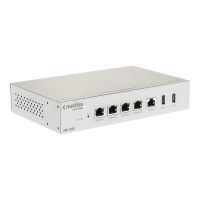 D-Link Nuclias DBG-2000 - SD-WAN Gateway - 1GbE