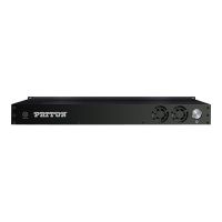 Patton SmartNode Open Gateway Appliance - VoIP-Gateway