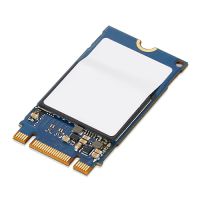 Lenovo ThinkPad - SSD - 1 TB - intern - M.2 2242 - PCIe 3.0 x4 (NVMe)
