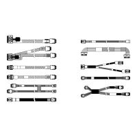 Lenovo Speicherkabelkit - für 6 x SATA/SAS