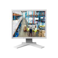 EIZO DuraVision FDS1703-AGY - LED-Monitor - 43.3 cm (17")