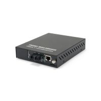 LevelOne GVM-1220 - Medienkonverter - 100Mb LAN