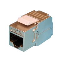 ROLINE Keystone Jack - Modulare Eingabe - CAT 6a