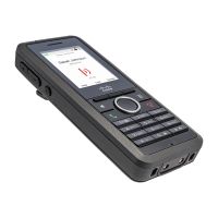 Cisco IP DECT Phone 6825 - Schnurloses Erweiterungshandgerät