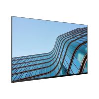 Lenovo ThinkVision E55 LFD - 140 cm (55") Diagonalklasse (138.7 cm (54.6")