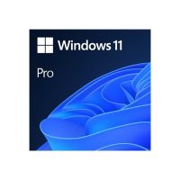Microsoft Windows 11 Pro - Lizenz - 1 Lizenz - OEM - DVD