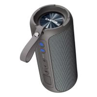 Canyon CNE-CBTSP15BG, 40 W, Kabellos, 10 m, Tragbarer Stereo-Lautsprecher, Beige, Zylinder