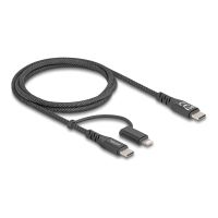 Delock USB-Kabel - 24 pin USB-C (M) zu Lightning, 24 pin USB-C (M)
