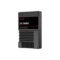 WD SanDisk DC SN861 - SSD - Rechenzentrum - 3.84 TB - intern - 2.5" (6.4 cm)