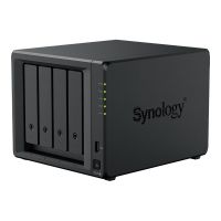 Synology Disk Station DS925+ - NAS-Server - 4 Schächte