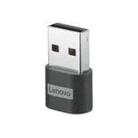 Lenovo USB-Adapter - 24 pin USB-C (W) zu USB Typ A (M)
