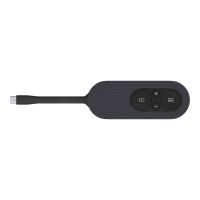 Iiyama WP-D003C - Wireless Audio / Videoadapter für Notebook, Computer