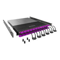 PATCHBOX PLUS+ SYSTEM OM4 - Glasfaser-Kabelmanagementsystem mit selbst einziehenden Patchkabeln - 1.7 m - RAL 9005 - 1U - 48.3 cm (19")