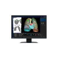 EIZO RadiForce MX243W, 61,2 cm (24.1"), 1920 x 1200 Pixel, WUXGA, LCD, 22 ms, Schwarz