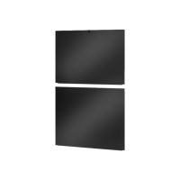 APC Easy Rack - Seitenwand für Rack - Schwarz - 42HE - 48.3 cm (19")