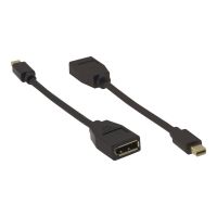 Kramer Electronics Kramer ADC-MDP/DPF - DisplayPort-Adapter - Mini DisplayPort (M)