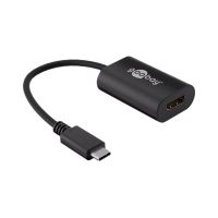 Wentronic goobay - Externer Videoadapter - USB-C - HDMI
