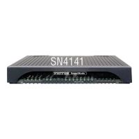 Patton SmartNode 4141 - VoIP-Gateway - 1GbE