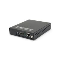 LevelOne GVM-1000 - Medienkonverter - 100Mb LAN - 10Base-T, 100Base-TX, 1000Base-T, 1000Base-X - RJ-45 / SFP (mini-GBIC)