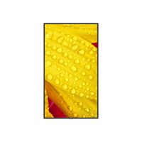 NEC Display MultiSync ME651 - 165 cm (65") Diagonalklasse ME Series LCD-Display mit LED-Hintergrundbeleuchtung - Digital Signage - 4K UHD (2160p)