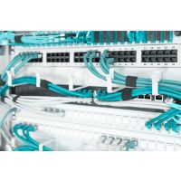 DIGITUS Kabelrangierpanel mit Kabelführungsbügeln für 483 mm (19")-Schränke, 1HE