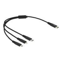 Delock 3 in 1 - Kabel nur zum Laden - 24 pin