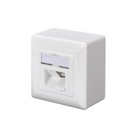 DIGITUS CAT 6A, Klasse EA, Datendose, designkompatibel, Aufputz