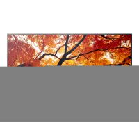 Sharp MultiSync PN-M652 - 163.9 cm (65") Diagonalklasse M2 Series LCD-Display mit LED-Hintergrundbeleuchtung - Digital Signage - 4K UHD (2160p)