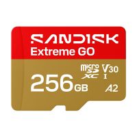 SanDisk Extreme Go - Flash-Speicherkarte - 256