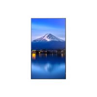 Sharp MultiSync PN-P556 - 140 cm (55") Diagonalklasse (138.8 cm (54.6")