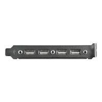 StarTech.com 4 Port USB 2.0 Buchse Slotblech Adapter mit 2x 10-Pin Mainboard Header - USB-Konsole - USB (W)