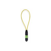 StarTech.com Startech - Loopback-Adapter - TAA-konform - MPO-12 Single-Mode (M)