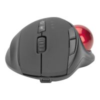 DIGITUS Maus - ergonomisch - optisch - 7 Tasten - kabellos - 2.4 GHz, Bluetooth 4.0 - kabelloser Empfänger (USB)