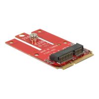 Delock Mini PCIe > M.2 Key E slot - Speicher-Controller