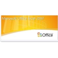 Microsoft Office Excel - Lizenz & Softwareversicherung - 1 Abonnent (SAL)
