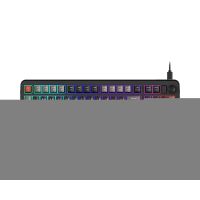 MSI FORGE GK110 FR, Kabelgebunden, USB, Membran Key Switch, QWERTY, LED, Schwarz